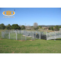 Oval Rail Cattle panels for Australia New Zealand